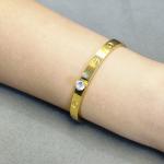 Cartier Love Gold Bracelet With White Gemstone On Top