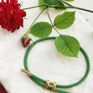 Unisex Hermès Green Collier de Chien With Iconic H In Gold