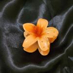 Cream Caramel Plumeria Clutcher