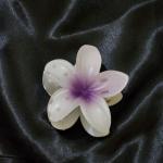 Ivory Mist Orchid Clutcher